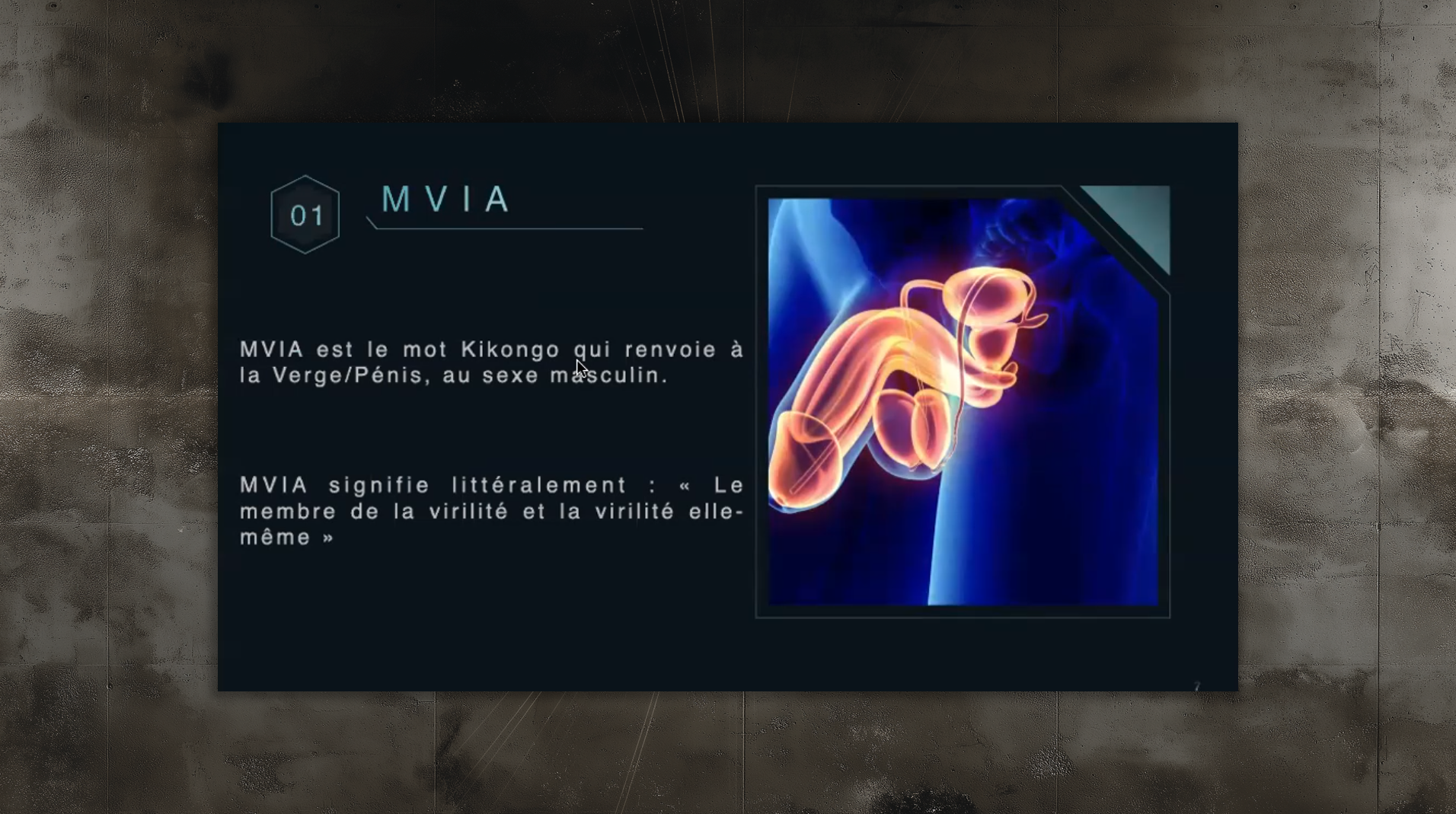 slides_etudes6 slides_etudes6