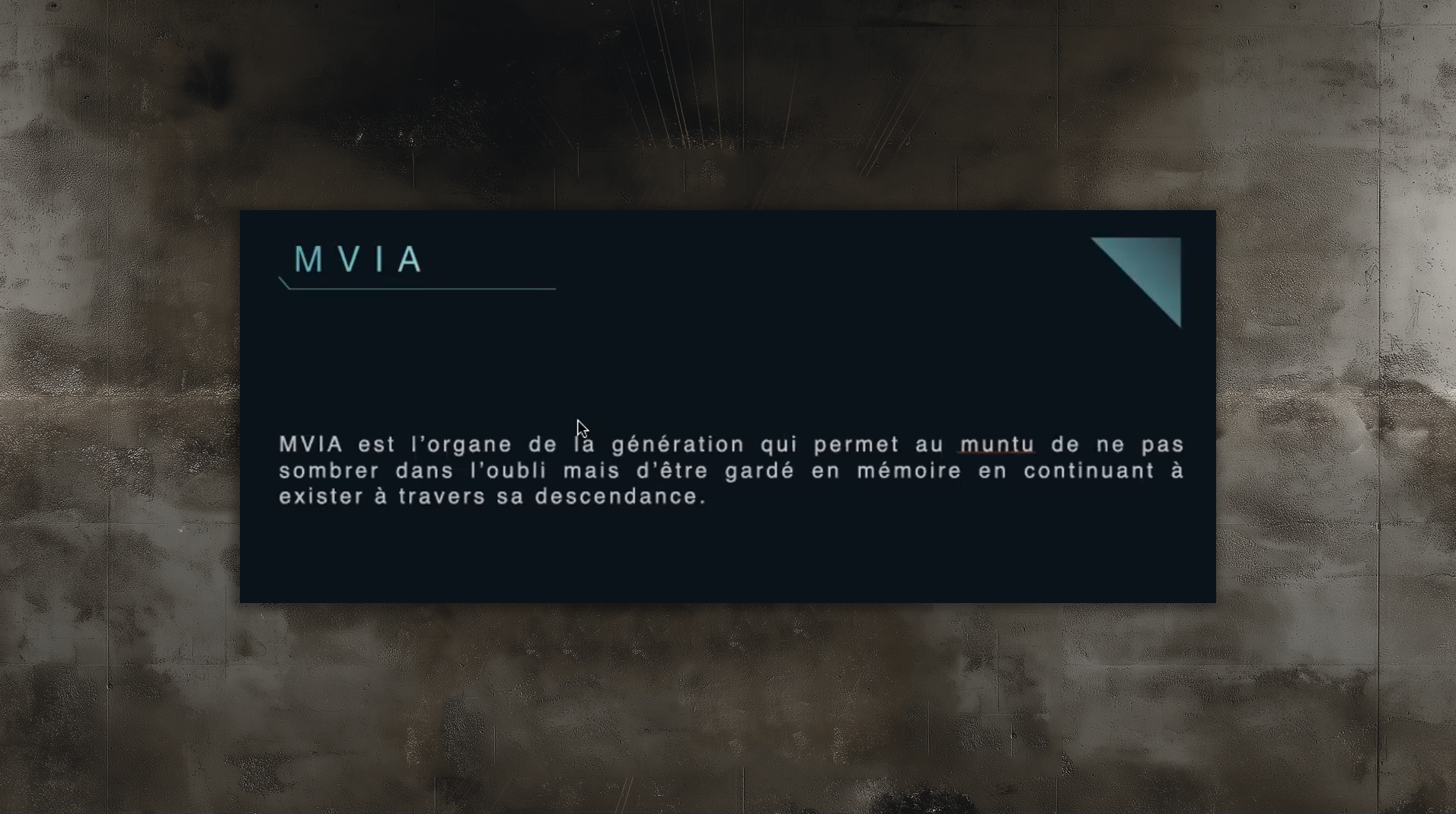 slides_etudes7 slides_etudes7