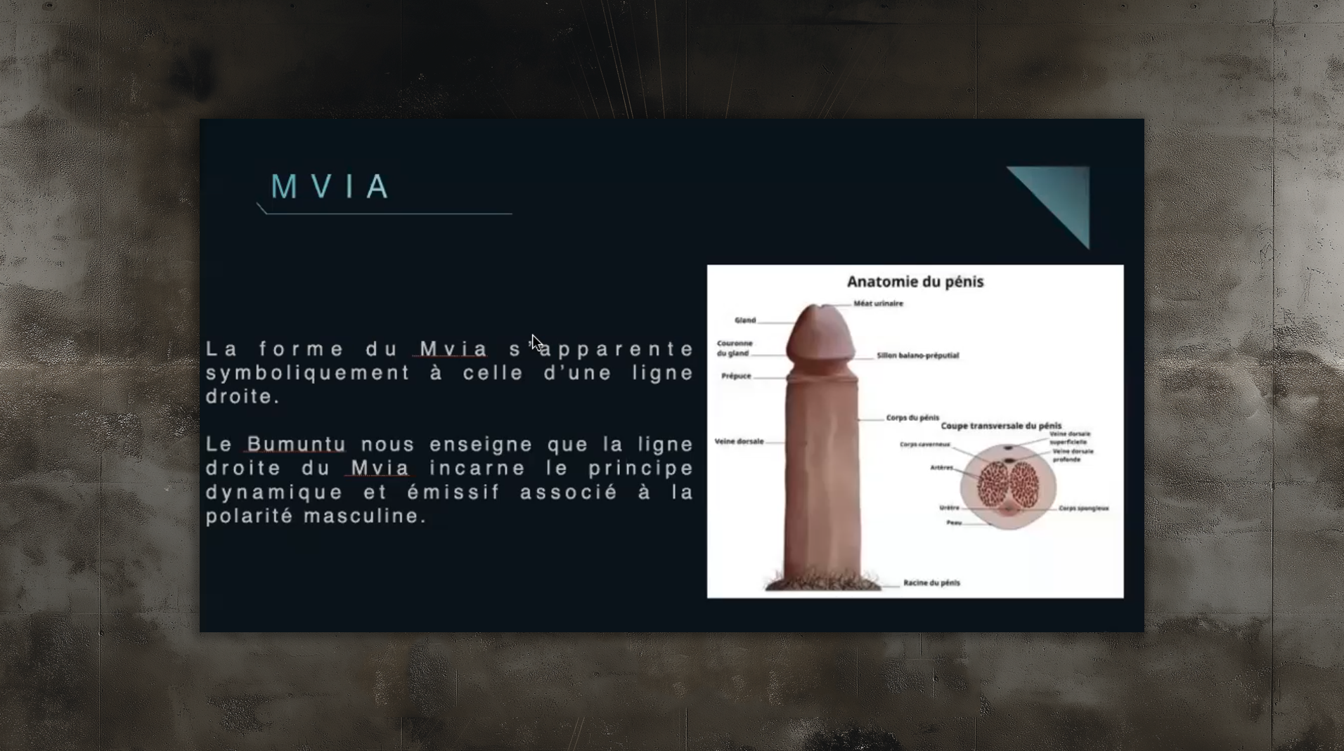 slides_etudes8 slides_etudes8