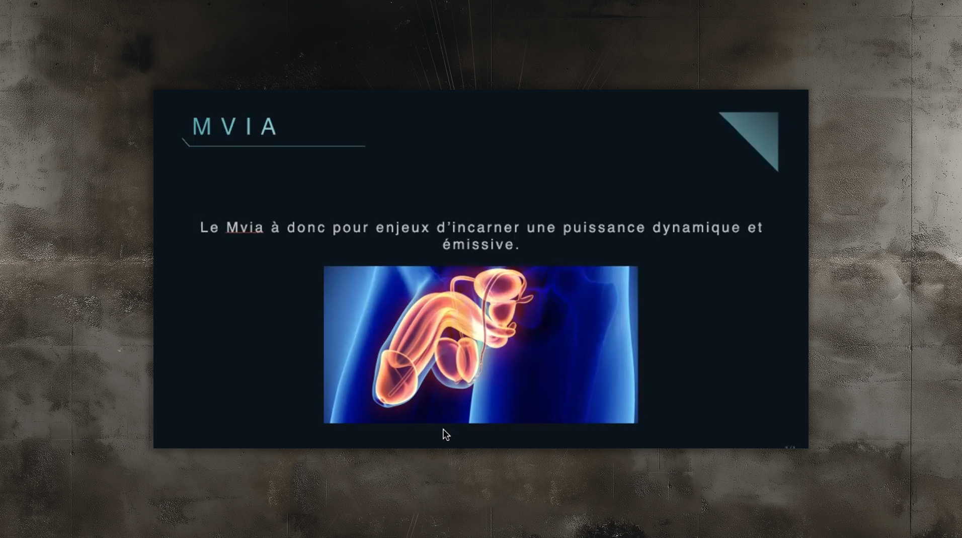 slides_etudes9 slides_etudes9