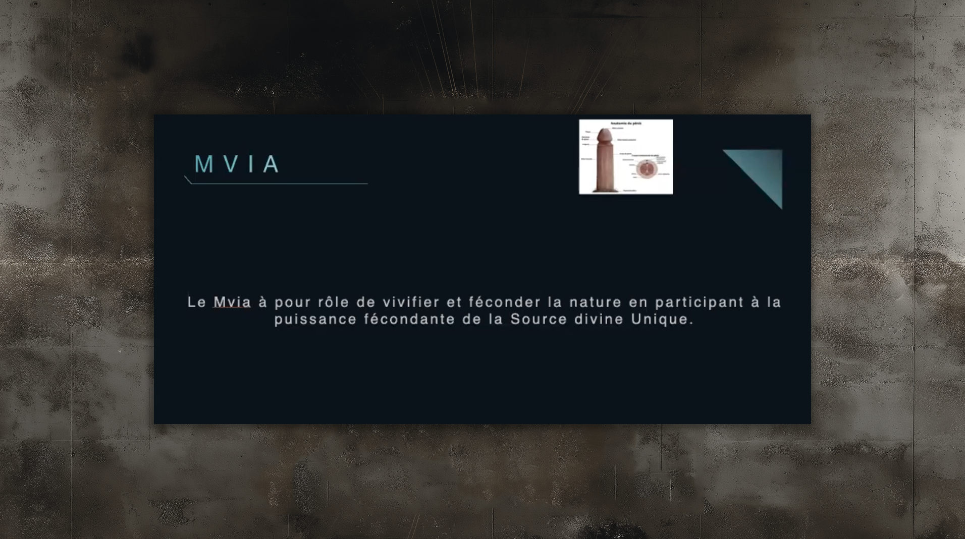 slides_etudes91 slides_etudes91