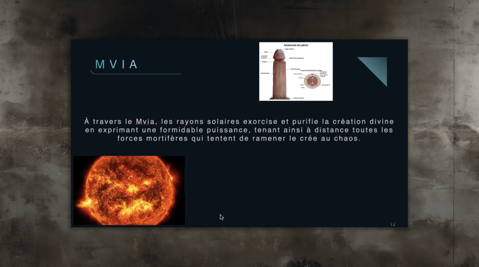 slides_etudes92 slides_etudes92