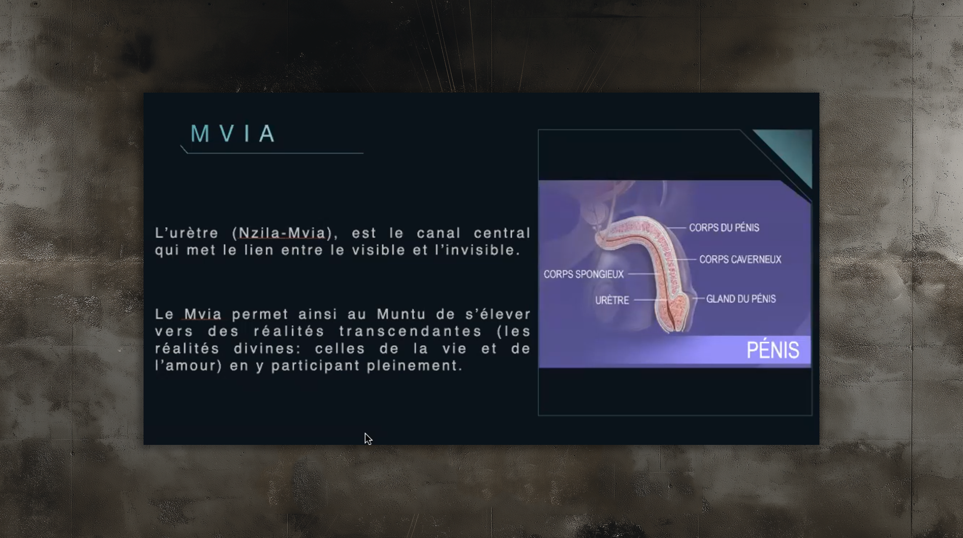 slides_etudes93 slides_etudes93