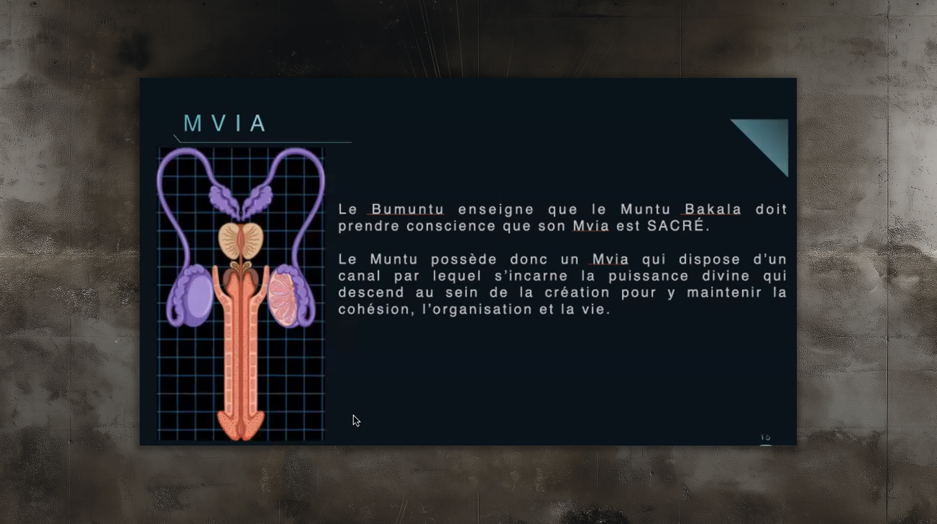 slides_etudes95 slides_etudes95