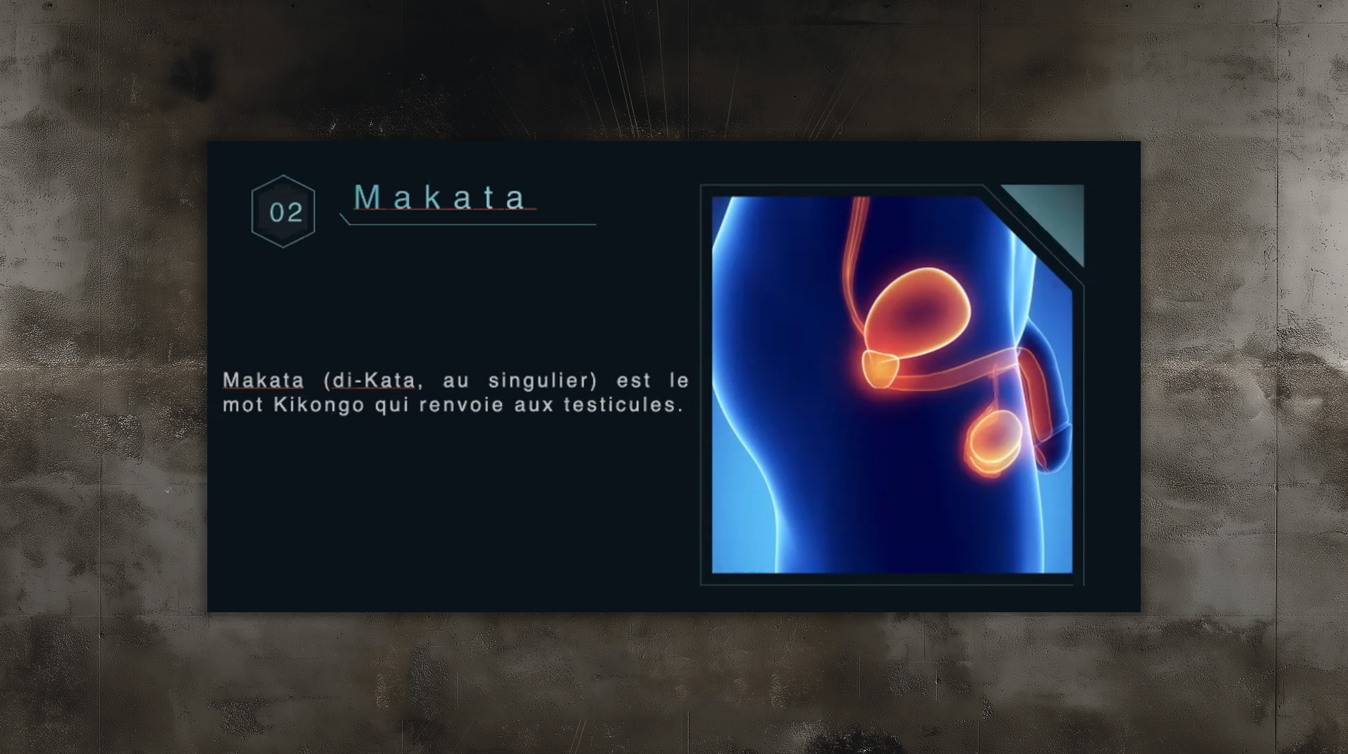 slides_etudes96 slides_etudes96