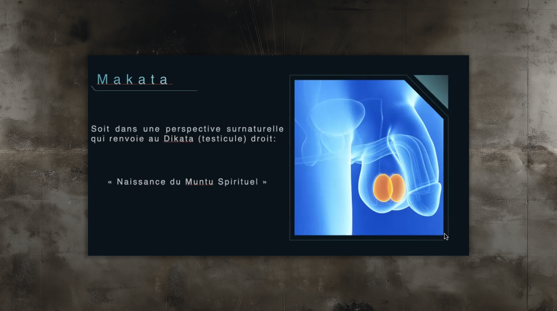 slides_etudes98 slides_etudes98