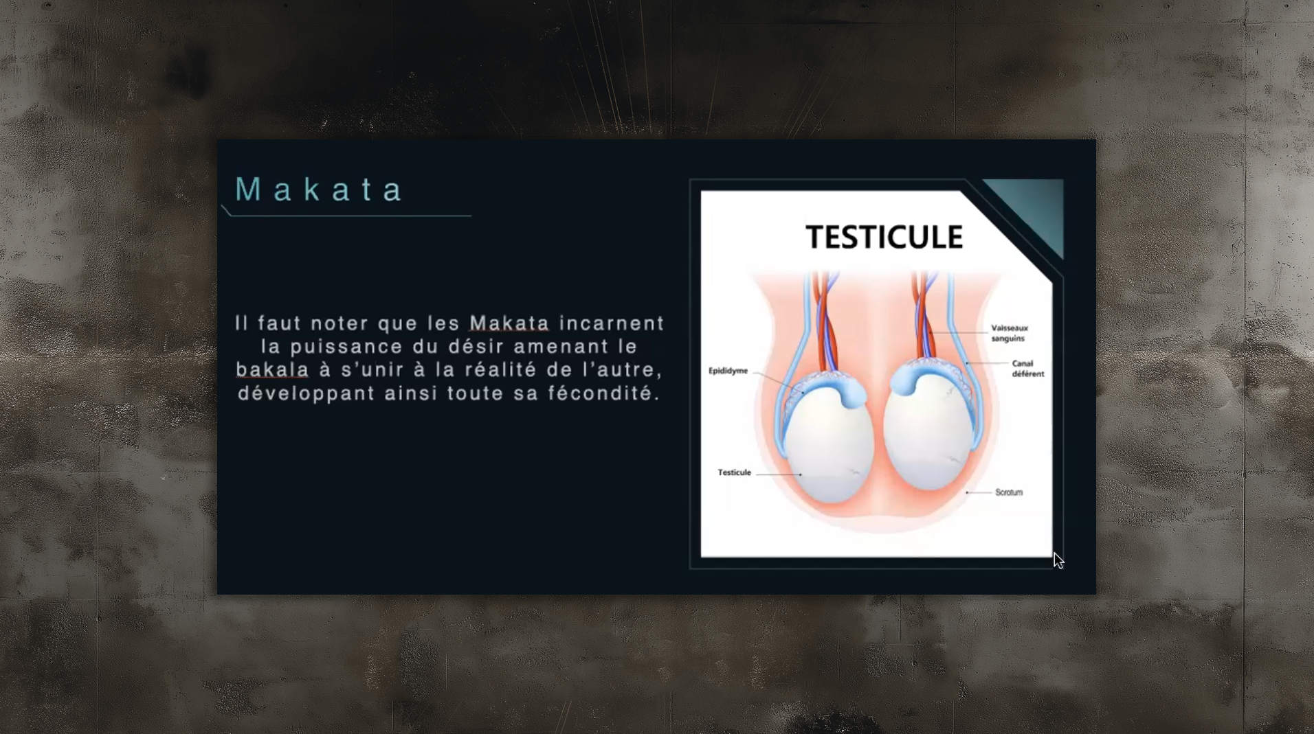 slides_etudes99 slides_etudes99