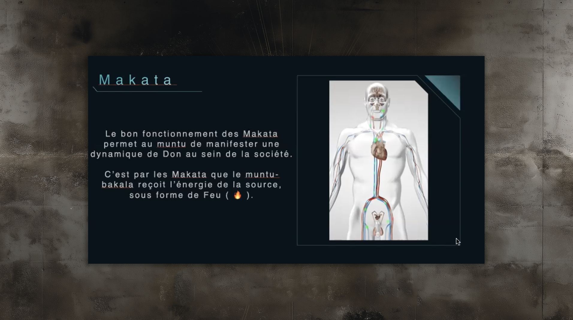 slides_etudes991 slides_etudes991