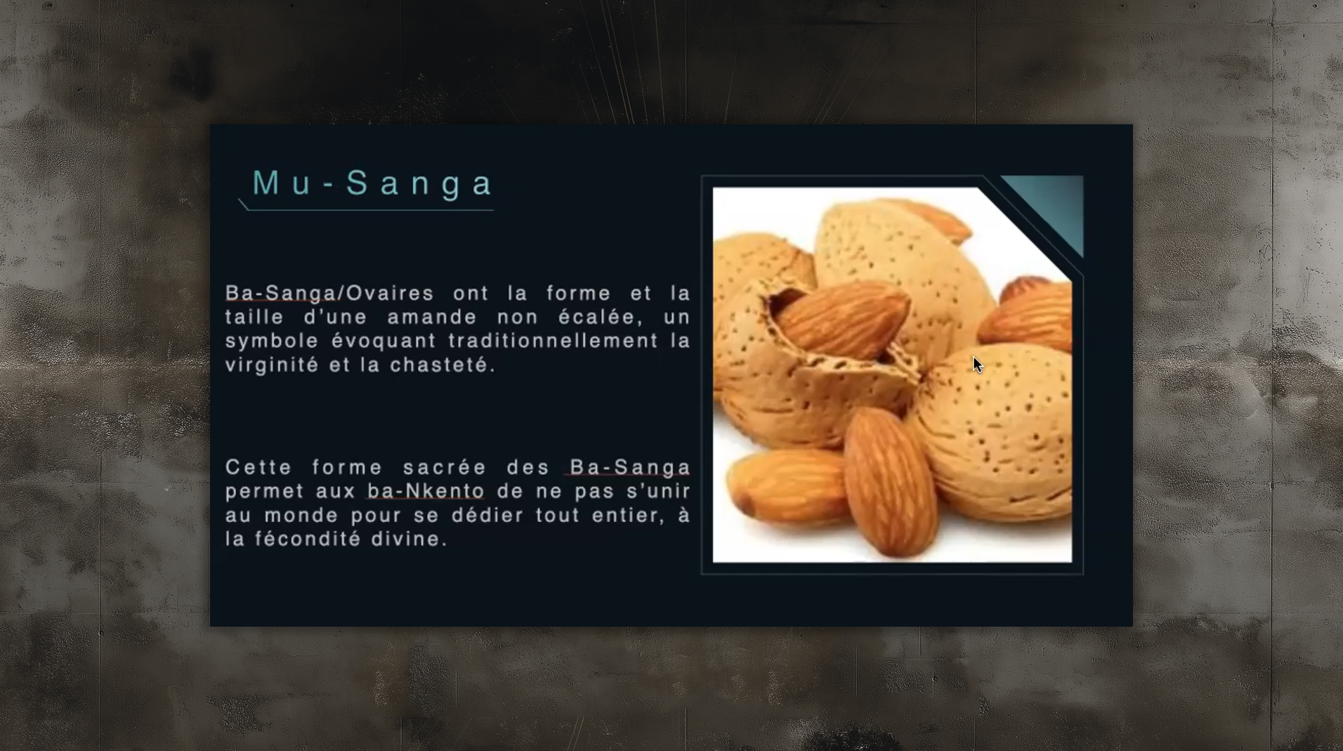 slides_etudes999 slides_etudes999