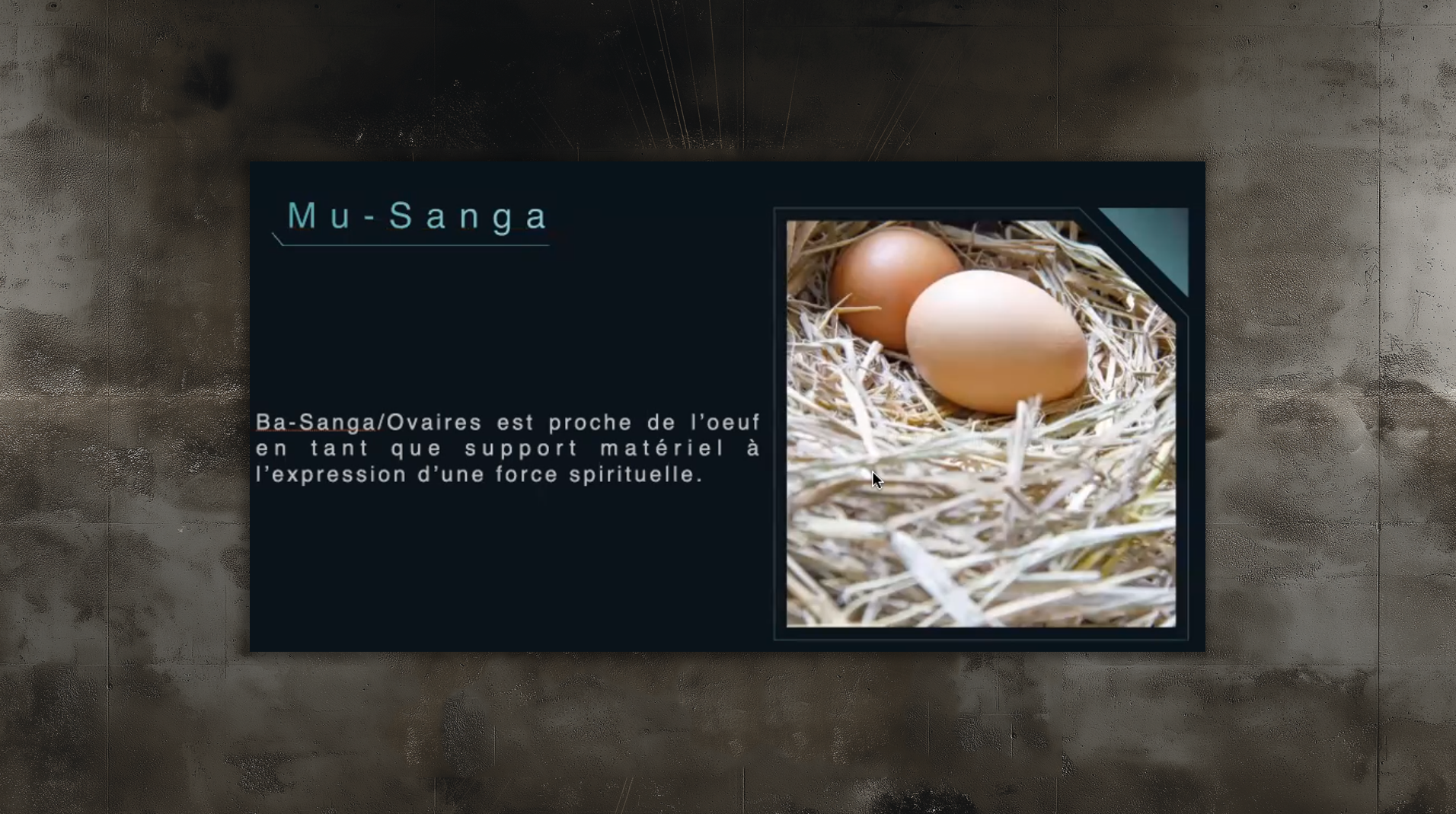 slides_etudes9991 slides_etudes9991