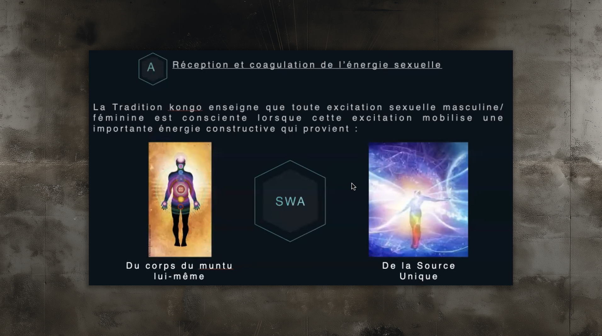 slides_etudes9995 slides_etudes9995