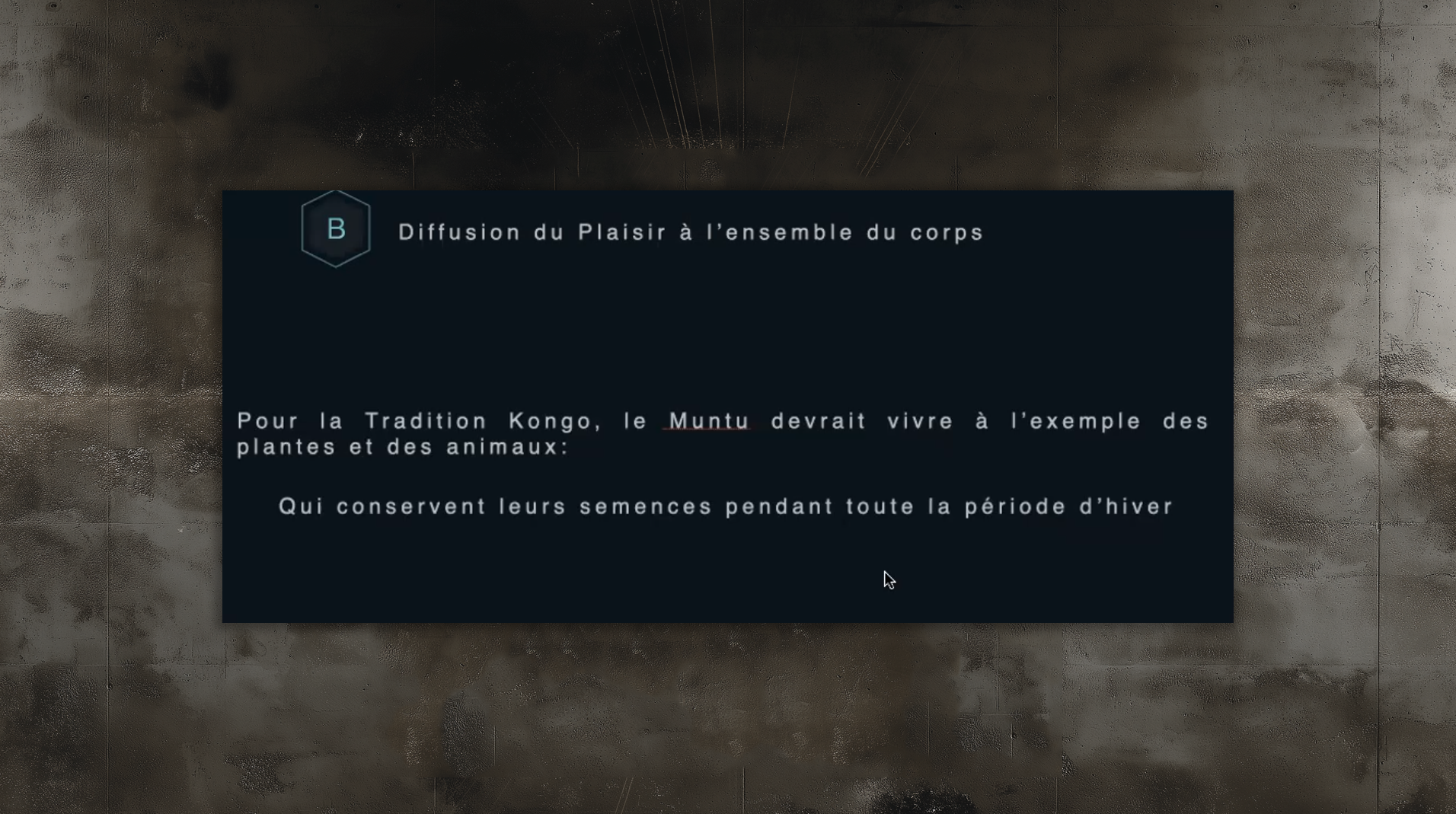 slides_etudes99992 slides_etudes99992