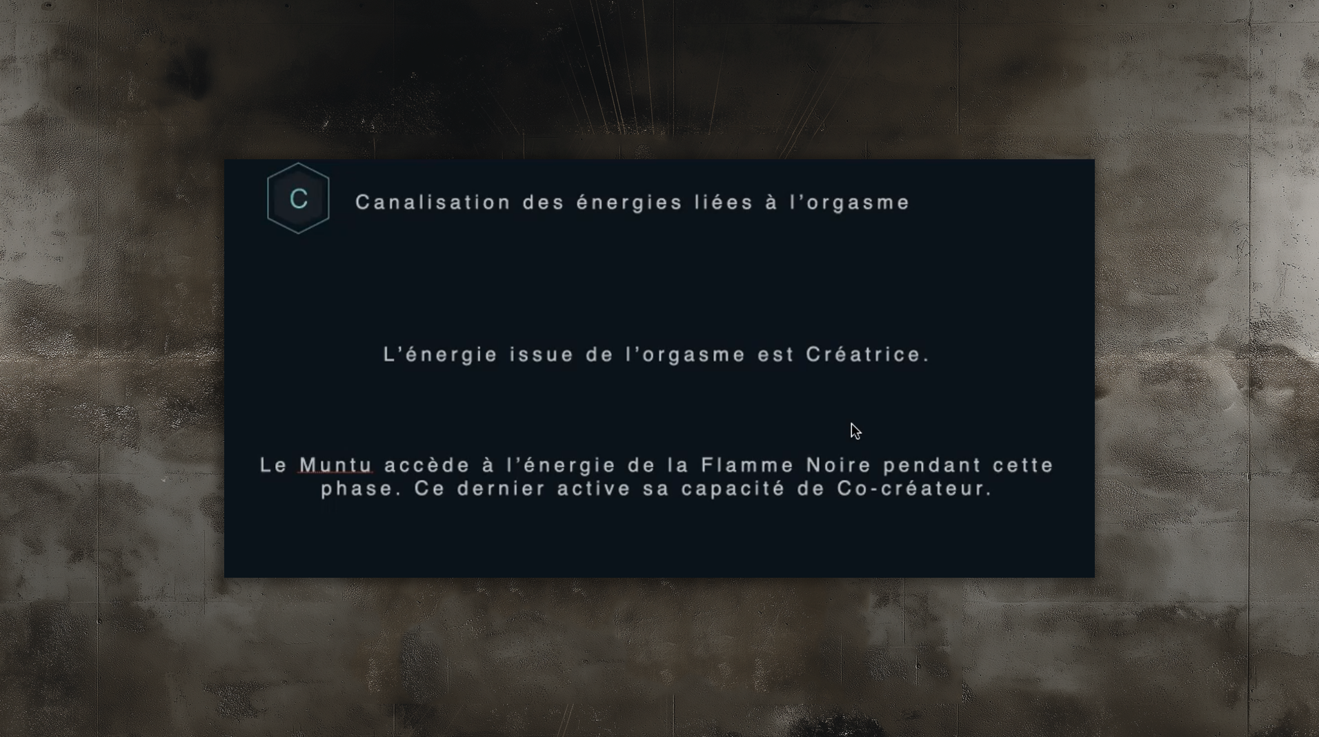 slides_etudes99996 slides_etudes99996